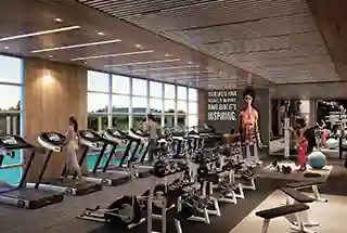 Gymnasium